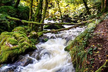 Gorges de la Canche Morvan Frankrijk 2 van Mario Brussé Fotografie