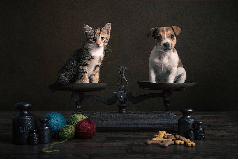 Consideration by Elles Rijsdijk