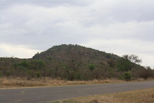 Kruger Park