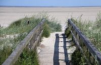 Weg naar het strand