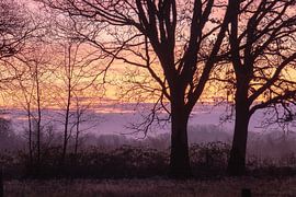 kleuren in de lucht van Tania Perneel