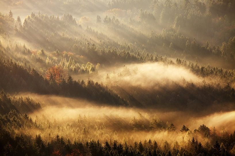 Herbststrahlen, Martin Rak von 1x