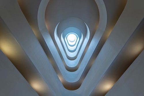 Lines and oval shapes