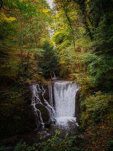 Alva-Bach in Alva Glen
