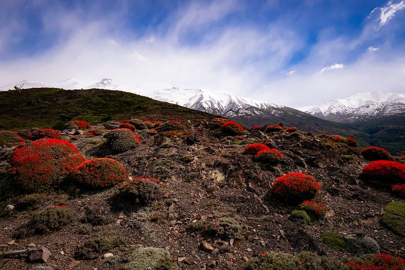 Landscape of Torres del Paine NP by Willemijn Wolthaus