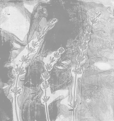 Lavendel in grijs en wit. Moderne botanische minimalistische kunst