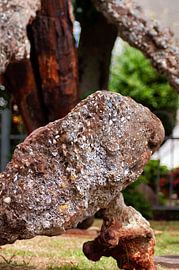 The anchor in Neuharlingersiel sur Photoart-Naegele