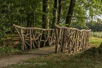 Prachtige brug in t bos