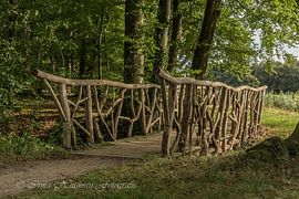 Beau pont dans la forêt sur Irma Huisman