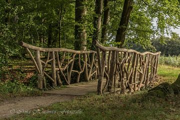 Prachtige brug in t bos van Irma Huisman