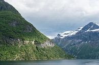 Uitzicht in het Geirangerfjord, Noorwegen van Capture the Light thumbnail