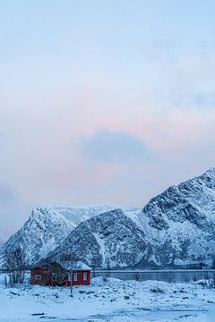 Rood huisje bij zonsopkomst | Lyngvaer, Lofoten, Noorwegen van Suzanne Spijkers
