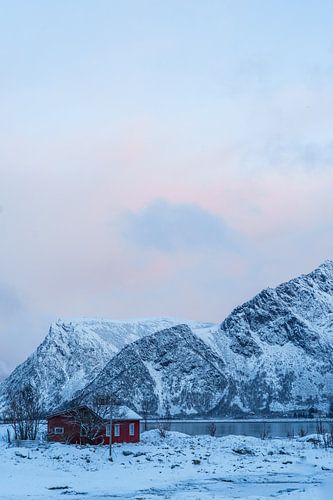 Rote Hütte bei Sonnenaufgang | Lyngvaer, Lofoten, Norwegen von Suzanne Spijkers
