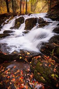 Selke Wasserfall im Herbst