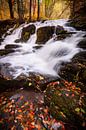Selke waterval in de herfst van Martin Wasilewski thumbnail