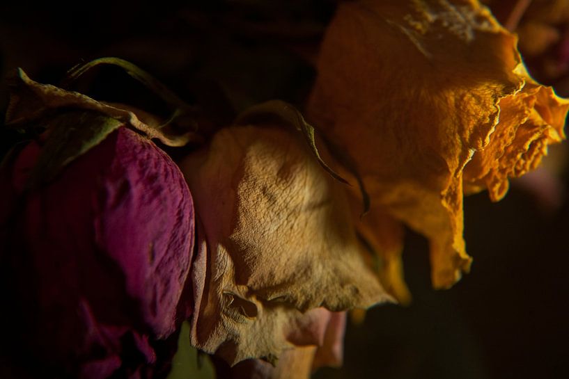 Melancholy and past beauty #2 by Marcel Admiraal