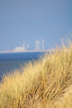 Beach Ouddorp by Kim Van Uuden