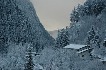 Winter in de Dolomieten van Barbara Koppe