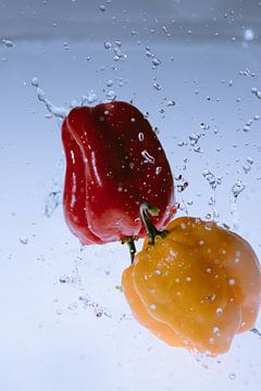 Habaneros splash 1 sur Marc Heiligenstein