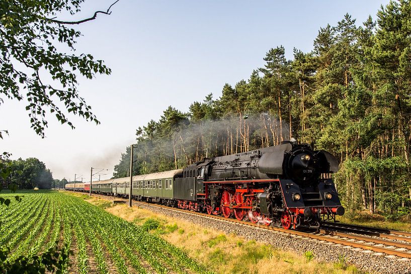 EFZ 01 519 mit Westfalendampf-Sonderzug von Marcel Timmer