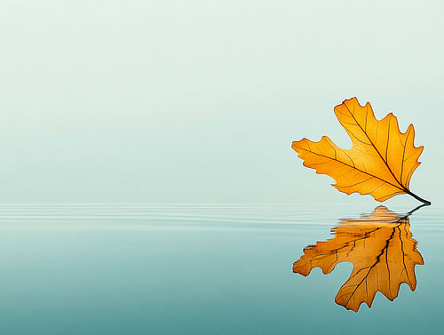 Autumn Leaf in Silent Reflection