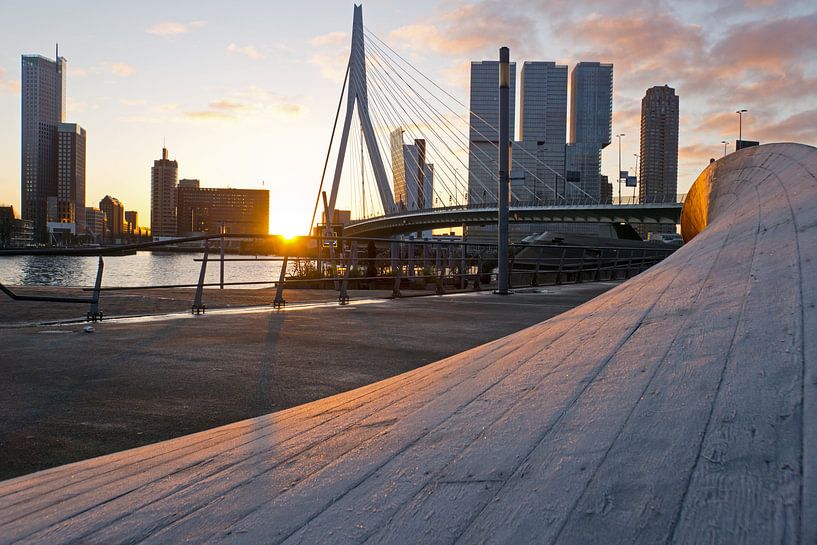 Frosted Kunstwerk Twist & Schrei an Erasmus-Brücke Rotterdam von Remco Swiers