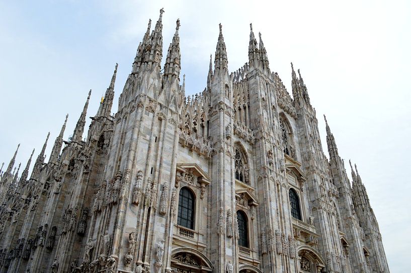 Kathedraal van Milaan van Nicole de Leest