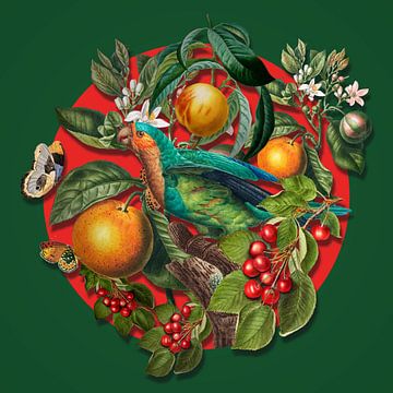 Nature's Collage von Marja van den Hurk