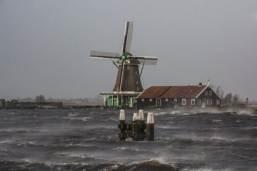 Zaanse molen de Zoeker aan de Zaanse Schans.