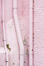 Vervallen roze muur von Anki Wijnen Miniaturansicht