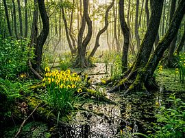 Gele irissen in een moeras met een kraanvogel van ArtMomente