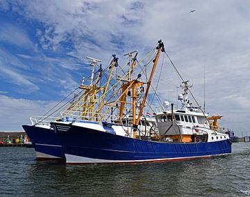 Navires de pêche bleus sur Judith Cool