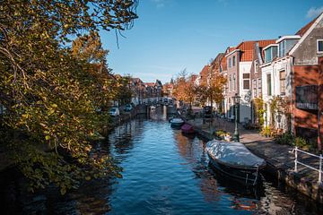 Leiden's lente van Iris Zoutendijk