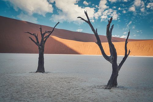 Geconserveerd voor eeuwig door de dood