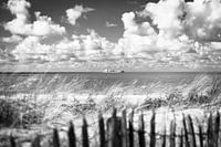 Dunes zélandaises