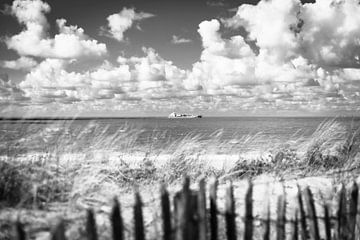 Vanaf de kust in Zeeland. van Mariëlle Debrichy