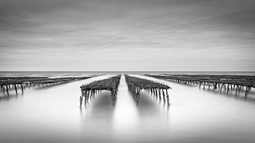 Oyster banks by Ageeth Groen