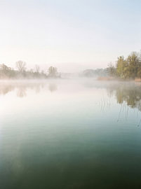 Misty Lake At Sunrise by Markus Gann