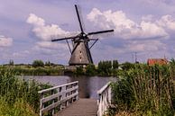 Windmolens aan de Kinderdijk. van Brian Morgan thumbnail