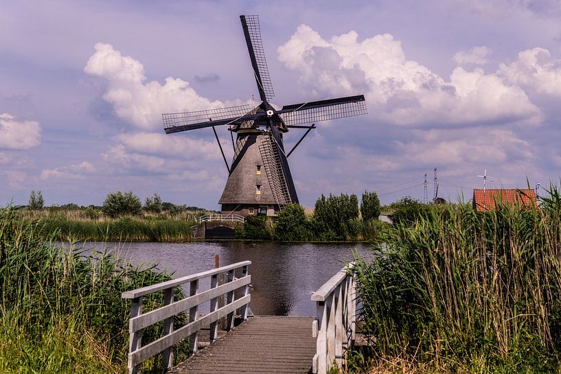 Windmolens aan de Kinderdijk. van Brian Morgan