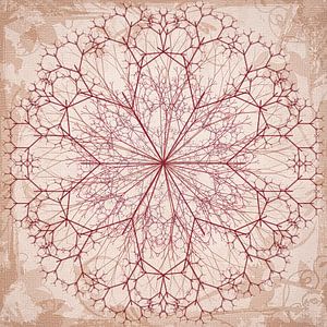 Mandala getekend in rood