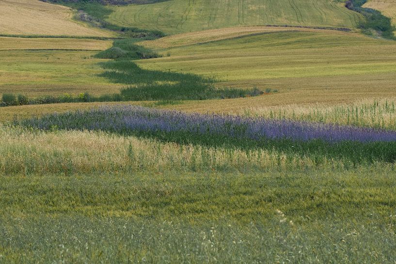 Puglia by Mario Creanza
