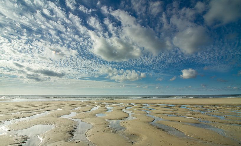 Marée basse sur les dunes du parc national de Texel par Pieter Heres