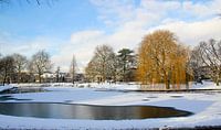 Winter in Leiden van Hans Winterink thumbnail