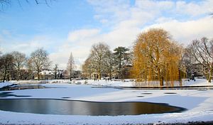 Winter in Leiden sur Hans Winterink