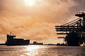 Container ships in the port of Rotterdam at the terminal during sunset by Sjoerd van der Wal