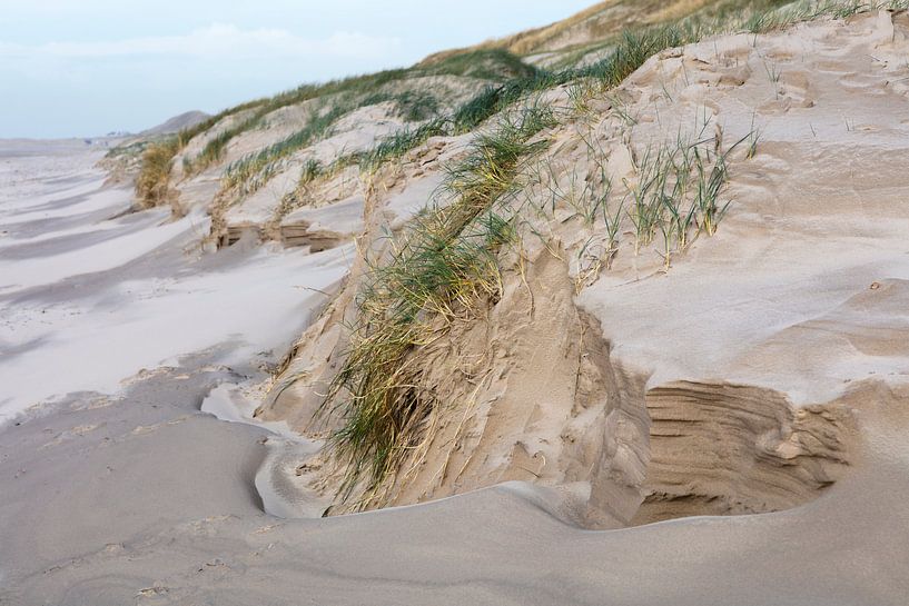 Dunes de Schoorl par Johan Zwarthoed