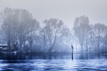 Warten auf den Frühling von Jan van der Knaap