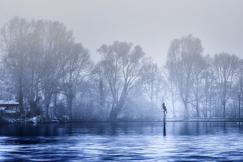 Warten auf den Frühling