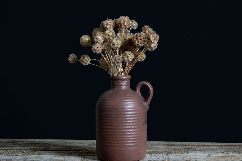 Bulbes à graines de scabiosa dans un vase vintage par Anjo Kan